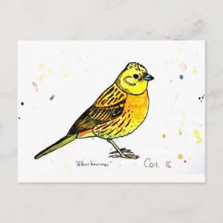 Postal Ave de Yellowhammer