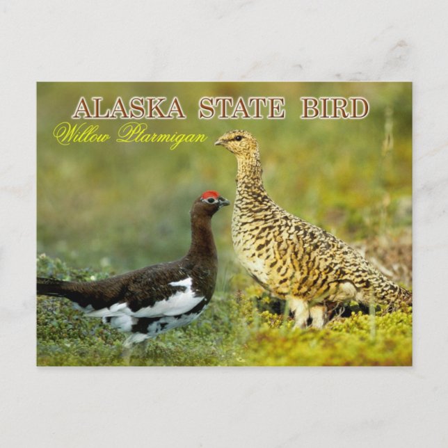 Postal Ave del estado de Alaska - Willow Ptarmigan (Anverso)