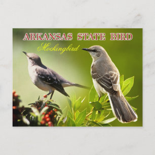 Postal Ave del Estado de Arkansas - Mockingbird