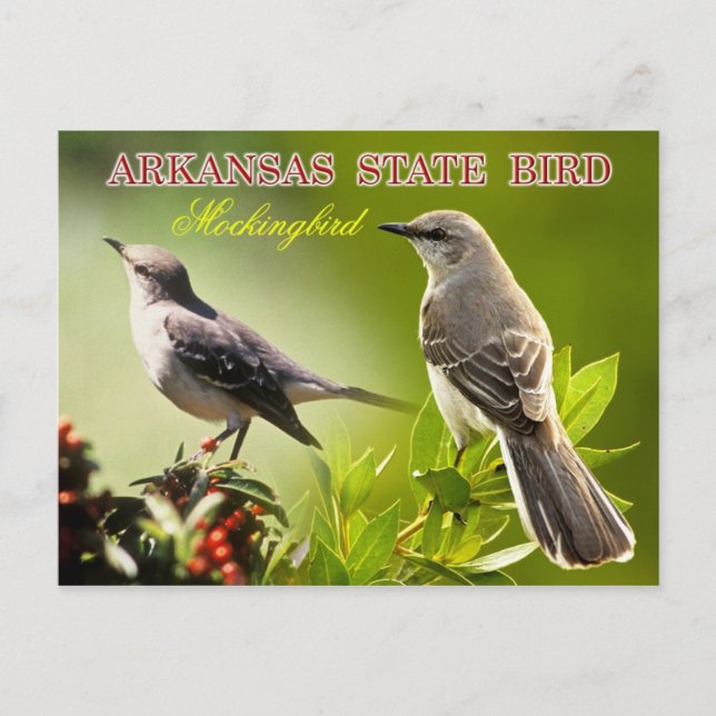 Postal Ave del Estado de Arkansas - Mockingbird (Anverso)