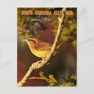 Postal Ave del Estado de Carolina del Sur: Carolina Wren