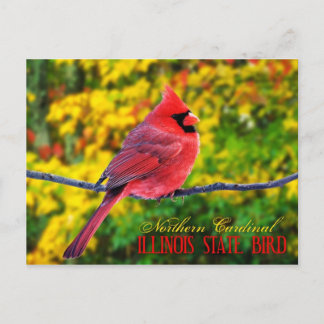 Postal Ave del Estado de Illinois - Cardenal del Norte