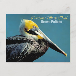 Postal Ave del estado de Louisiana - Pelican Marrón