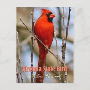 Postal Ave del Estado de Virginia - Cardenal del Norte