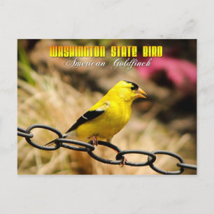 Postal Ave del Estado de Washington - Goldfinch estadouni