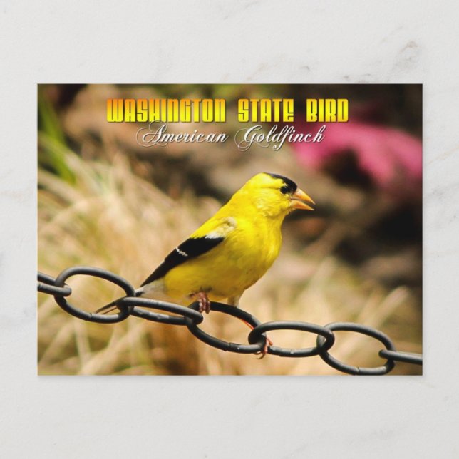 Postal Ave del Estado de Washington - Goldfinch estadouni (Anverso)