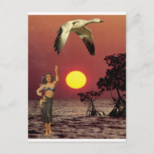 Postal Ave del paraíso -