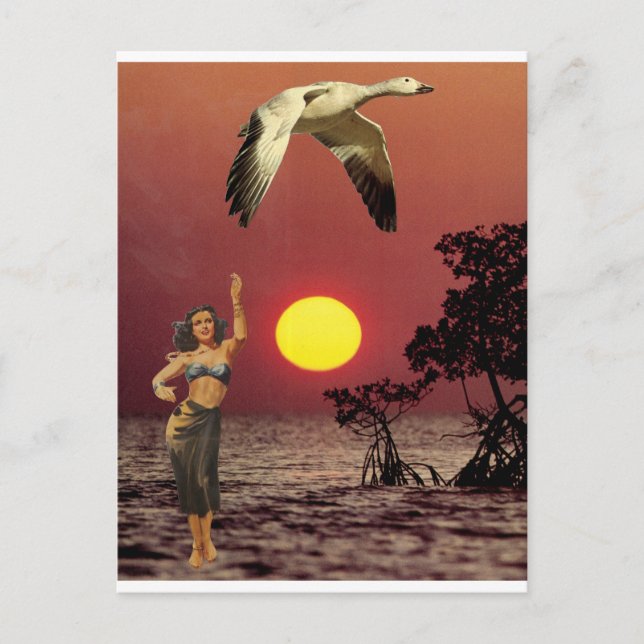 Postal Ave del paraíso - (Anverso)