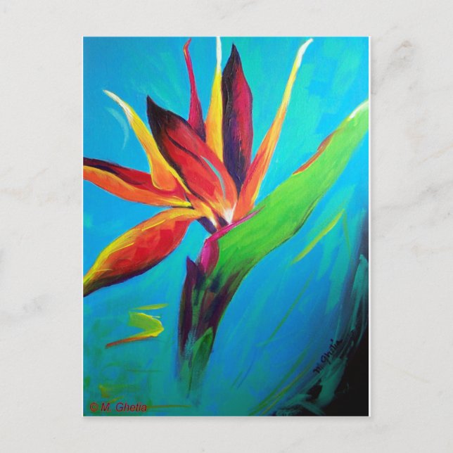 Postal Ave del paraíso (Anverso)