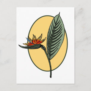 Postal Ave del paraíso