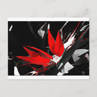 Postal Ave divertida del paraíso