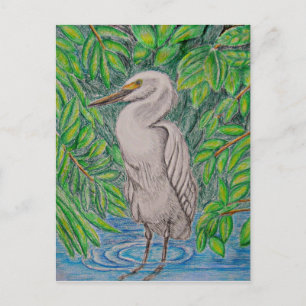 Postal Ave Egret