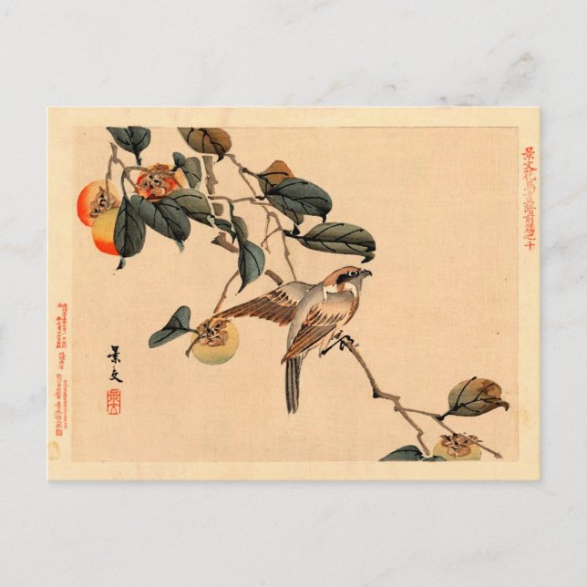 Postal Ave en PersimmonTree (Anverso)