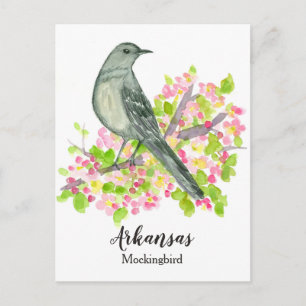 Postal Ave estatal de Arkansas Mockingbird Flor de manzan