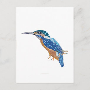 Postal Ave KingFisher