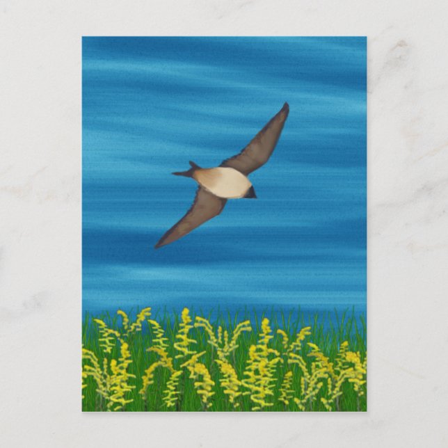 POSTAL AVE LIBRE (Anverso)