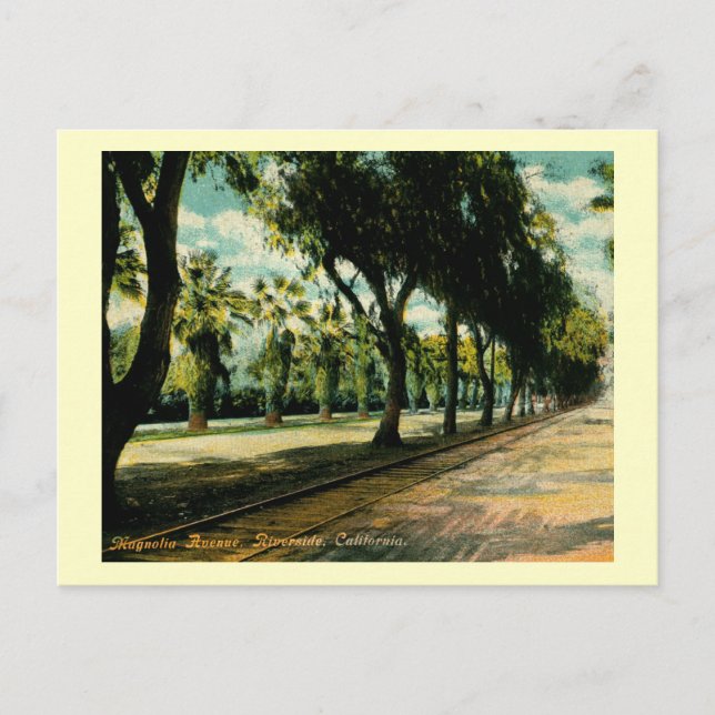 Postal Ave. Magnolia, Riverside, California Vintage (Anverso)