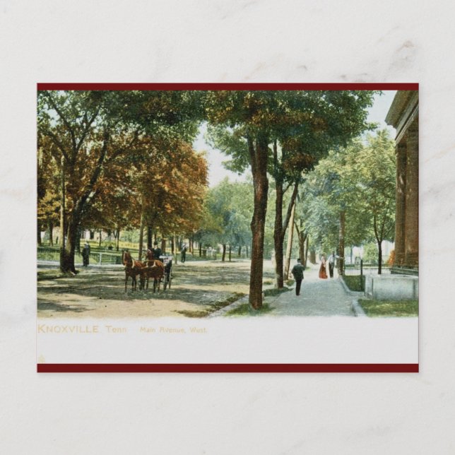 Postal Ave principal, Knoxville TN 1909 Vintage (Anverso)