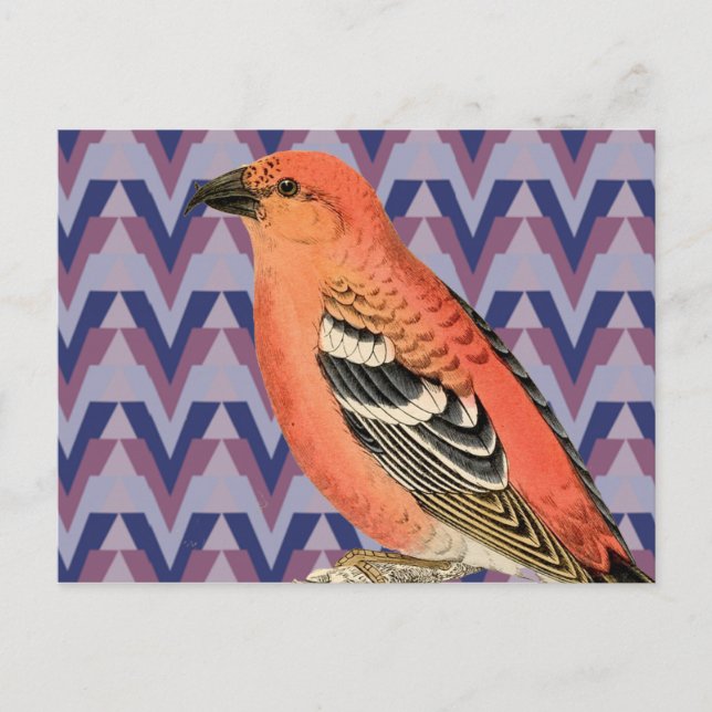 Postal Ave rosa Chevron y Vintage (Anverso)