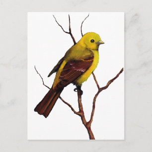 Postal Ave: Tanager occidental: Arte original