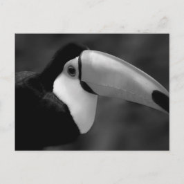 Postal Ave Tucano de B&W