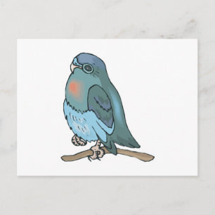 Postal ave verde y azul budgie
