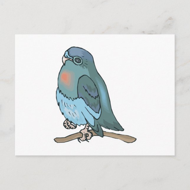 Postal ave verde y azul budgie (Anverso)