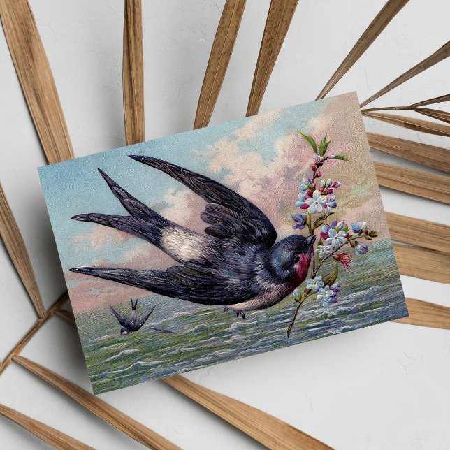 Postal Ave Y Flores De Bonito De Tragón Rojo Azul Cutáneo (Cute Blue Red Swallow Bird And Pretty Flowers Postcard)