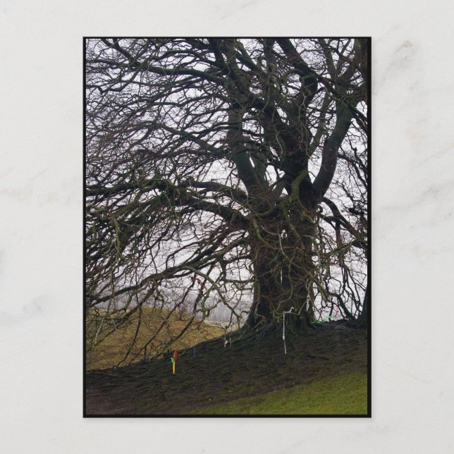 Postal Avebury Beech (Anverso)