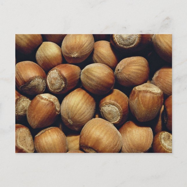 Postal avellana silvestre (Anverso)