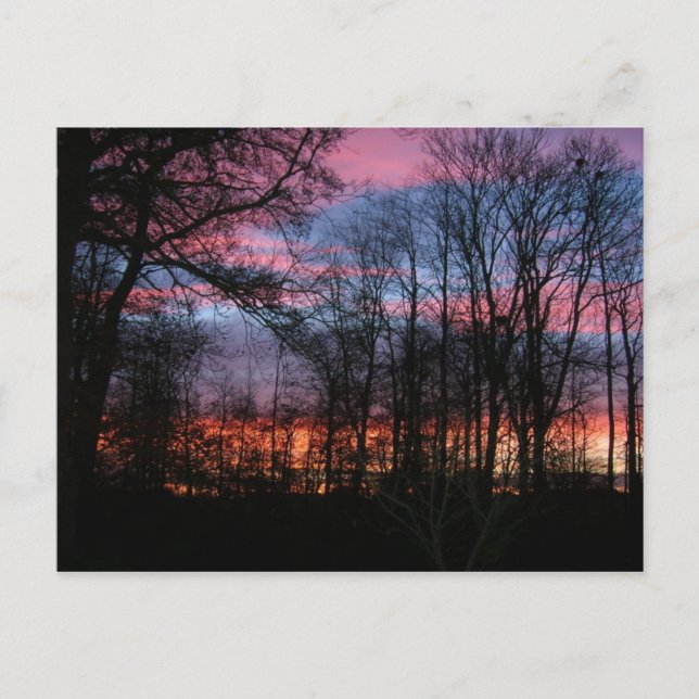 Postal Avenida Cielo En La Postcarta De Dinamarca (Anverso)