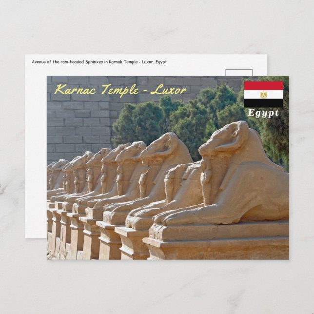 Postal Avenida de esfinges en el templo de Karnak - Egipt (Anverso / Reverso)