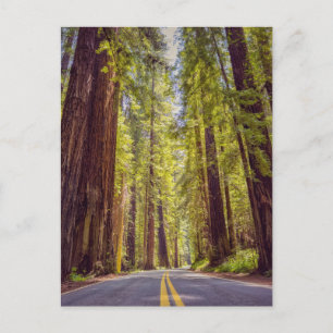 Postal Avenida de los Gigantes de California