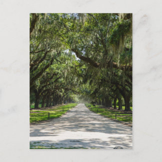 Postal Avenida De Los Oaks