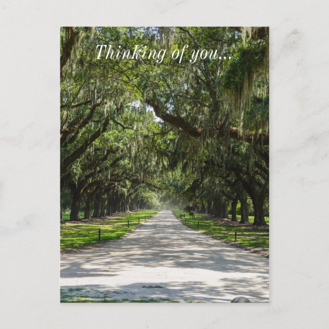 Postal Avenida De Los Oaks (Anverso)