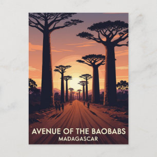 Postal Avenida Madagascar de los Baobabs Travel