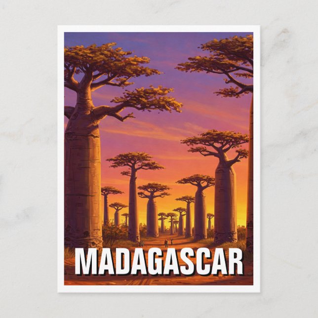 Postal Avenida Madagascar de los Baobabs Travel (Anverso)