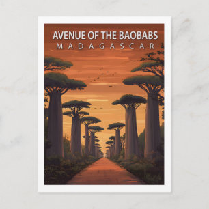 Postal Avenida Retro de los Baobabs Madagascar Naturaleza