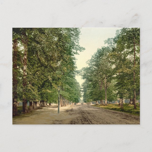 Postal Avenida, Southampton, Hampshire, Inglaterra (Anverso)