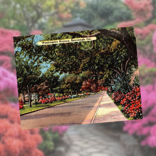 Postal Avenida Washington Savannah GA histórica