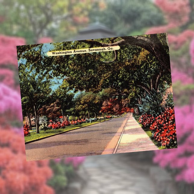 Postal Avenida Washington Savannah GA histórica (Subido por el creador)