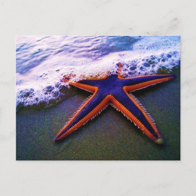 POSTAL AVENTURA (Anverso)