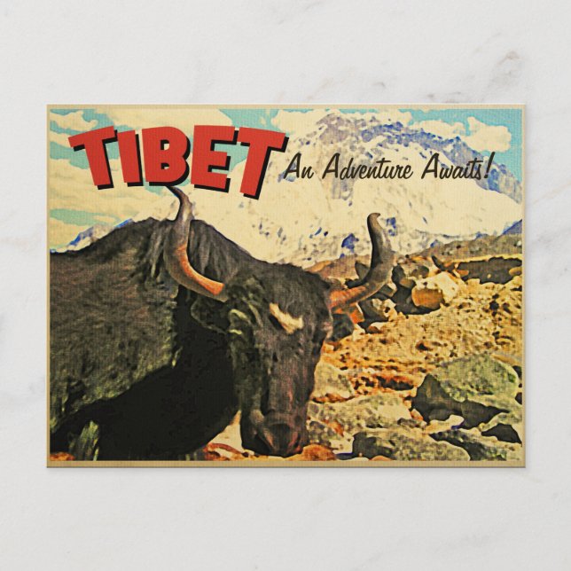 Postal Aventura en Tibet Espera Buey (Anverso)