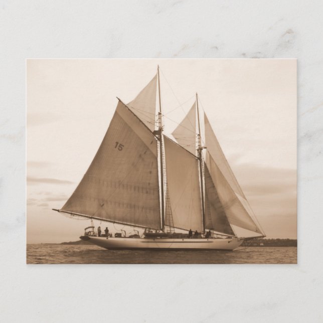 Postal Aventurera del Schooner (Anverso)