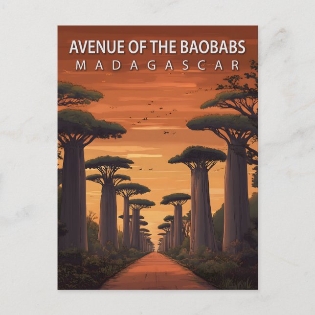 Postal Avenue of the Baobabs Madagascar African Nature (Anverso)