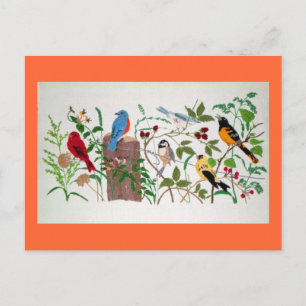Postal Aves