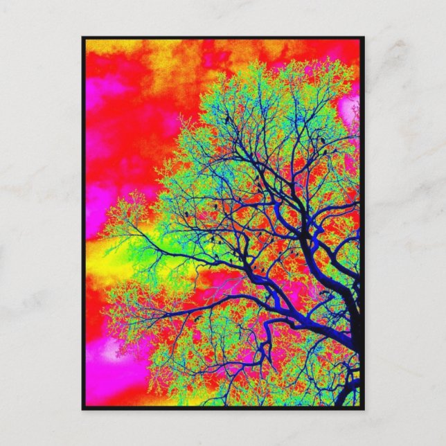 Postal Aves (Anverso)