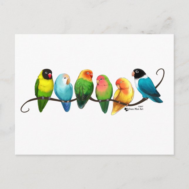Postal Aves (Anverso)