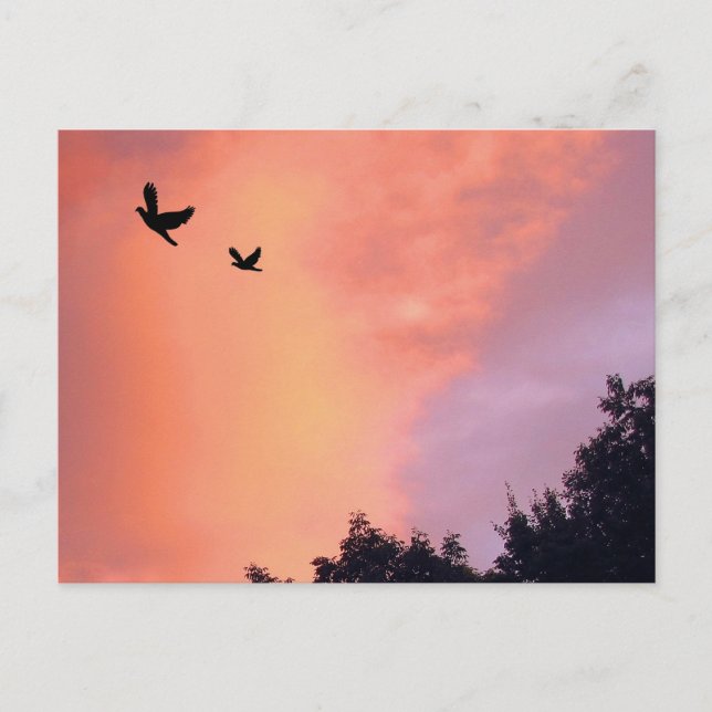 Postal Aves al atardecer (Anverso)