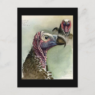 Postal Aves artísticas abisinas de Chicago postales-antig